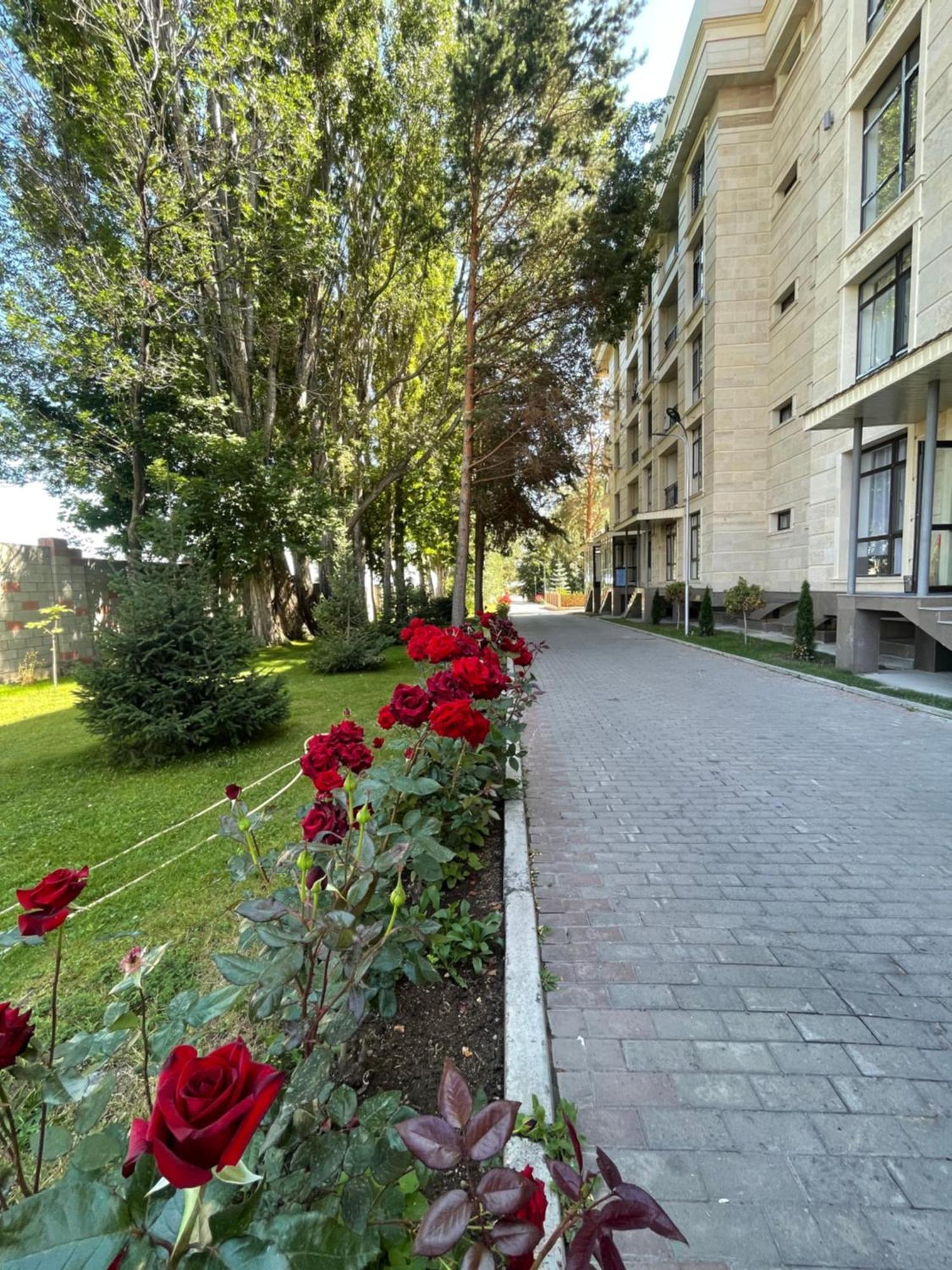 Apartamento Цо Радуга, Иссык Куль Raduga Issyk Kul Chon-Sary-Oy Exterior foto